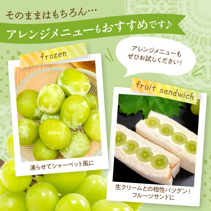 ã2026幎ç£ã ã·ã£ã€ã³ãã¹ã«ãã çŽ1.2kg (2æ¿å
¥) å±±åœ¢ç æ±æ ¹åž hi026-054