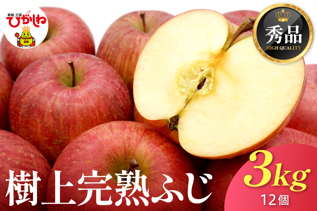 【2026年産】 樹上完熟ふじりんご 秀品 3kg 化粧箱（12個詰め） 山形県 東根市 JA提供 hi001-049