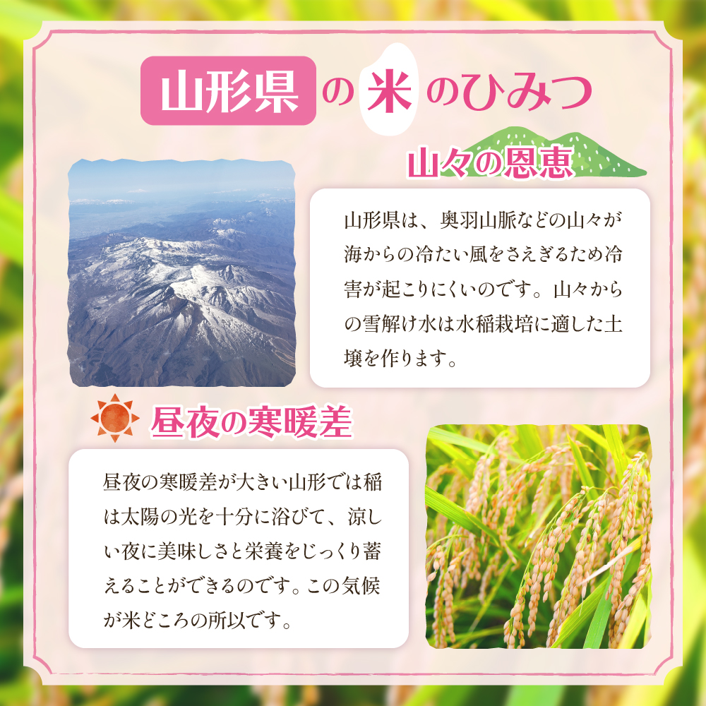 【令和6年産 先行予約】はえぬき15kg (2025年4月後半送付)JA提供 山形県 東根市 hi002-027-043