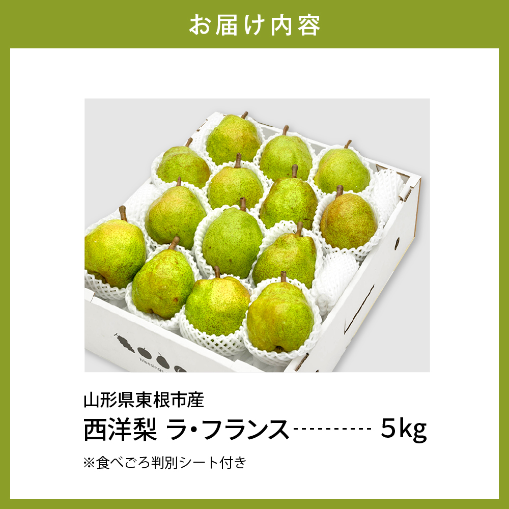 【令和6年産 先行予約】西洋梨ラフランス５ｋｇ　秀品　化粧箱入り 山形県 東根市 東根農産センター提供 hi027-141