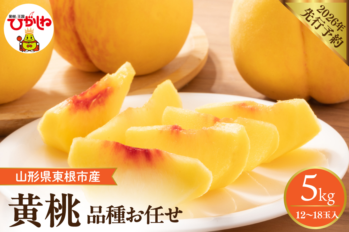 【2026年産】採れたて黄桃(品種お任せ) 約5kg (12～18玉) 晴天畑提供 山形県 東根市 hi026-058