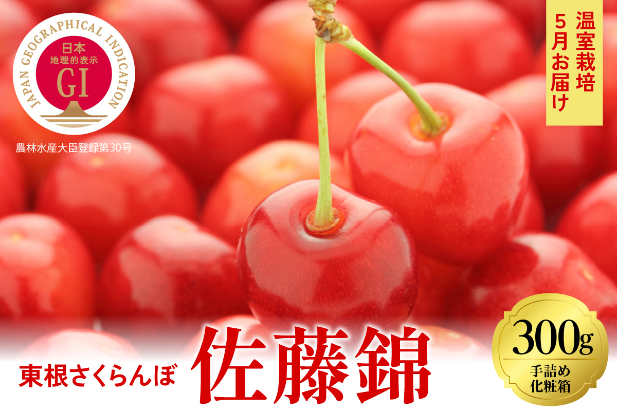 2025年【5月お届け】GI東根さくらんぼ 佐藤錦 特秀品 Lサイズ300g化粧箱詰め 東根農産センター提供 山形県 東根市 hi027-161-2