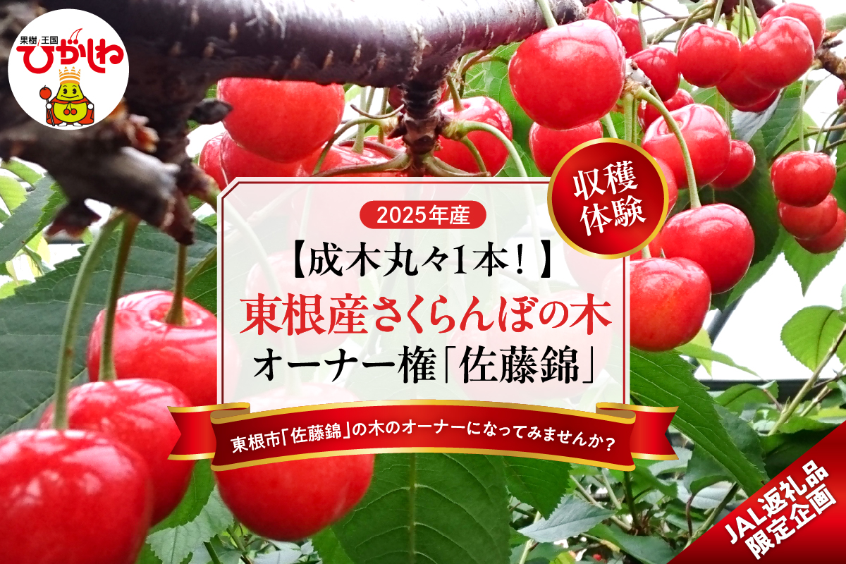 [成木丸々1本!]東根産さくらんぼの木 オーナー権「佐藤錦」 山形県 東根市 hi081-001