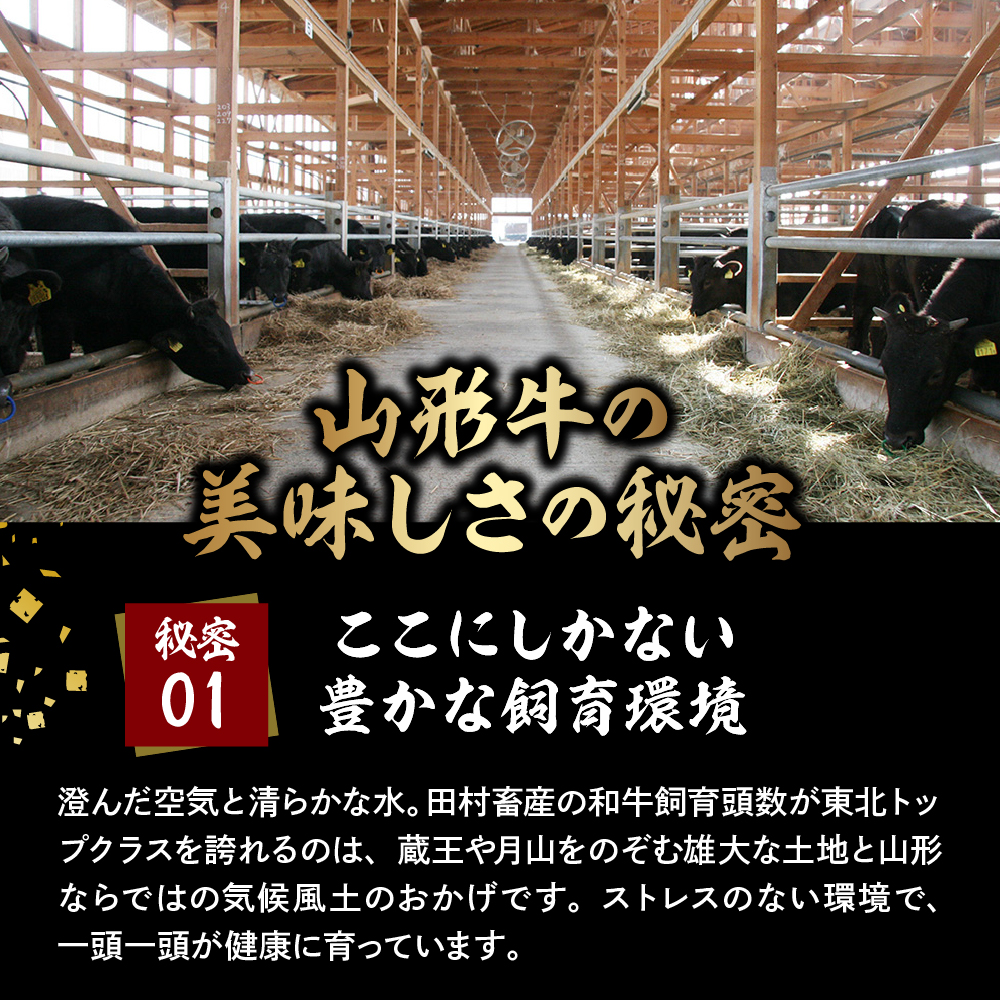 2026年6月7日開催　第23回果樹王国ひがしねさくらんぼマラソン大会出走権 +山形牛ロースステーキ焼肉用(約400g) hi007-005-009
