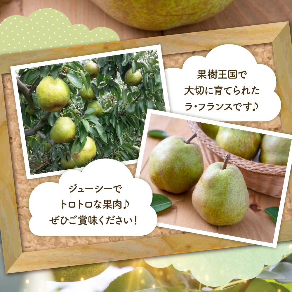 【2026年産】 洋なし「ラ・フランス」 5kg よってけポポラ提供 hi003-168