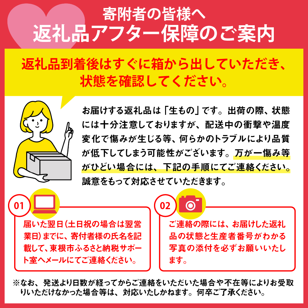 【山形県東根市産】りんご「サンふじ」5kg【滝口観光果樹園】　hi004-hi030-009r