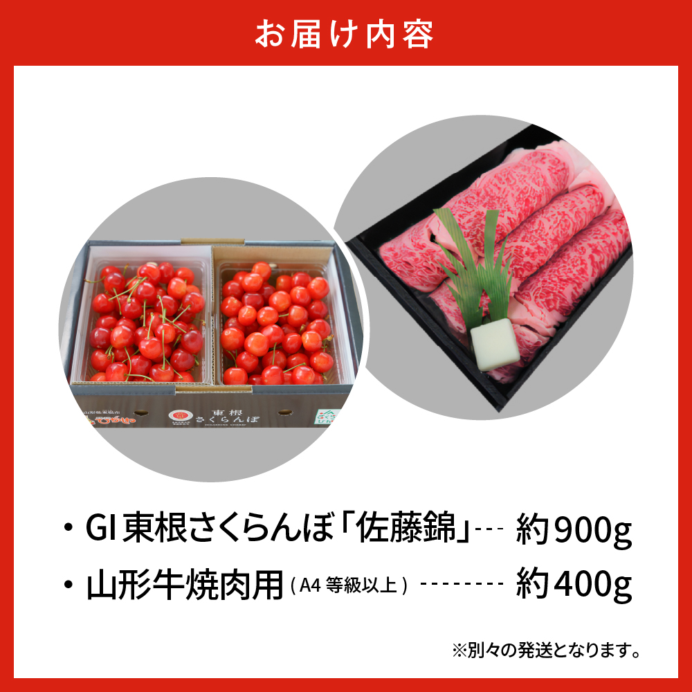 縲2026蟷エ 蜈ィ2蝗槫ョ壽悄萓ソ縲賎I 譚ア譬ケ縺輔¥繧峨s縺シ 縲御ス占陸骭ヲ縲搾シ螻ア蠖「迚帙さ繝シ繧ケ シ2026蟷エ6譛医°繧峨せ繧ソ繝シ繝茨シ栄i999-049