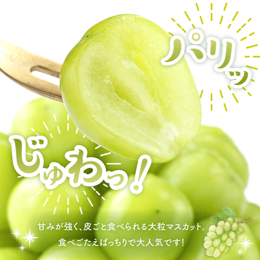 ã2026幎 å
è¡äºçŽãã¶ã©ããã·ã£ã€ã³ãã¹ã«ããã2æ¿ (çŽ1.3kgïœ1.4kg) å±±åœ¢ç æ±æ ¹åž hi003-153