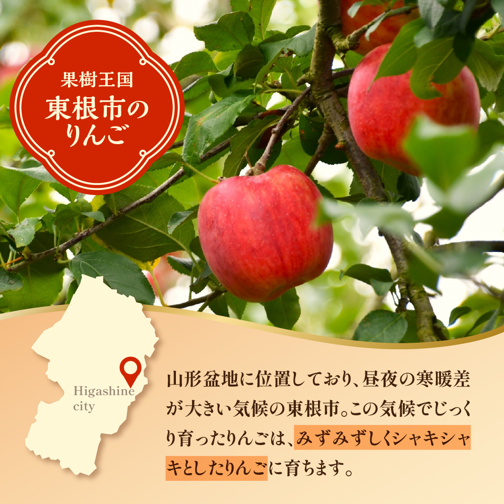 【2026年産】りんご「サンふじ」3kg よってけポポラ提供 hi003-171
