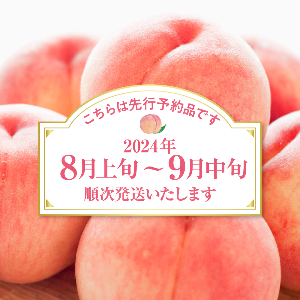 【2024年産　先行予約】白桃 品種おまかせ 訳あり2kg(硬め)　hi004-hi062-011