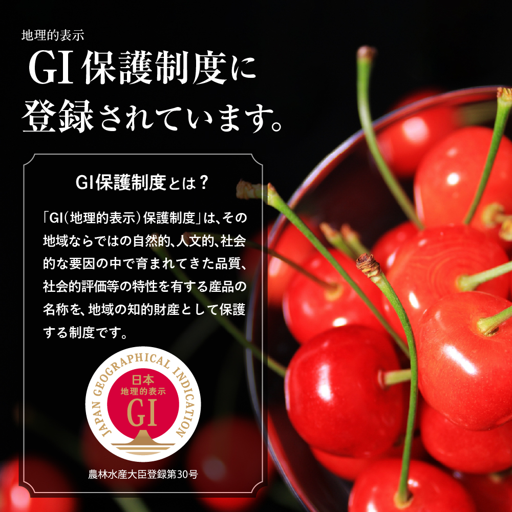 縲2026蟷エ 蜈ィ2蝗槫ョ壽悄萓ソ縲賎I 譚ア譬ケ縺輔¥繧峨s縺シ 縲御ス占陸骭ヲ縲搾シ螻ア蠖「迚帙さ繝シ繧ケ シ2026蟷エ6譛医°繧峨せ繧ソ繝シ繝茨シ栄i999-049