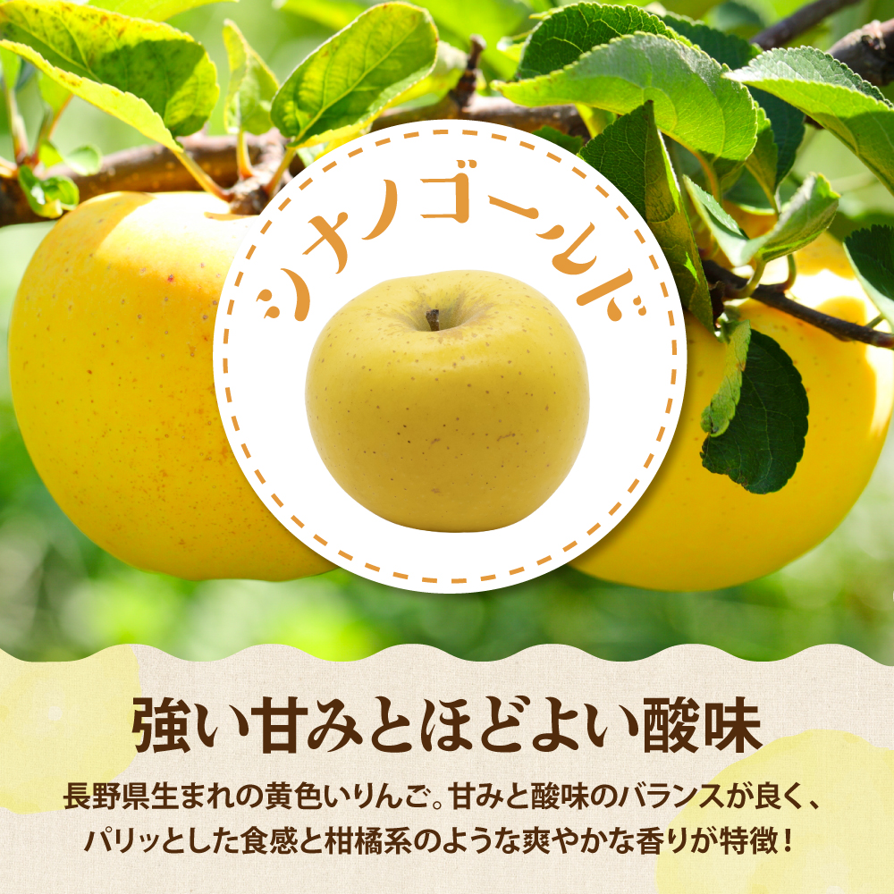縲2026蟷エ逕」縲代し繝ウ縺オ縺&繧キ繝翫ヮ繧エ繝シ繝ォ繝会シ繝ゥ繝輔Λ繝ウ繧ケ 隧ー繧∝粋繧上○ 3kg 遘蜩 蛹也イァ邂ア蜈・繧 螻ア蠖「逵 譚ア譬ケ蟶 譚ア譬ケ霎イ逕」繧サ繝ウ繧ソ繝シ謠蝉セ hi027-212-r8