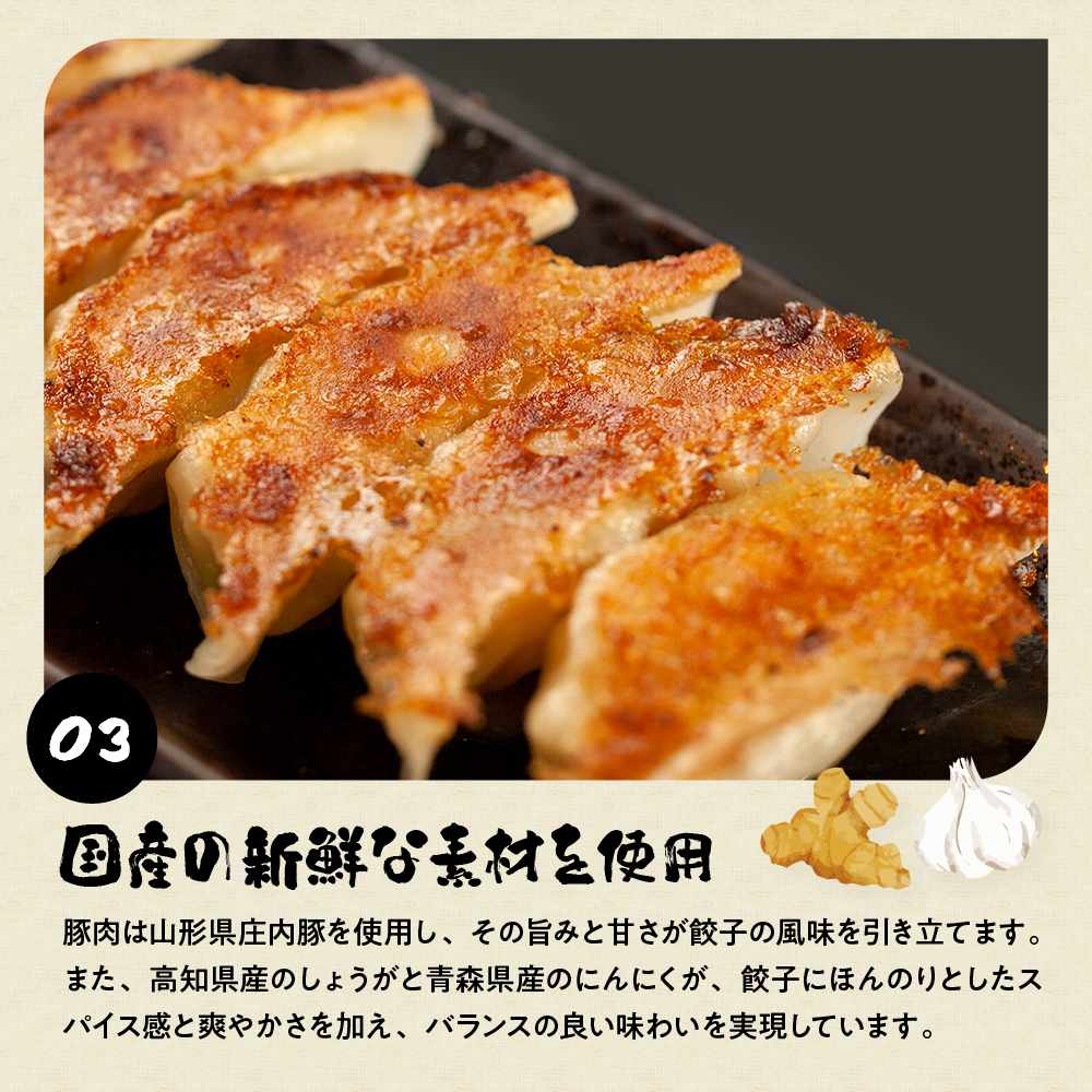 ひろしの職人焼き餃子（レンチン餃子）　hi004-hi044-002