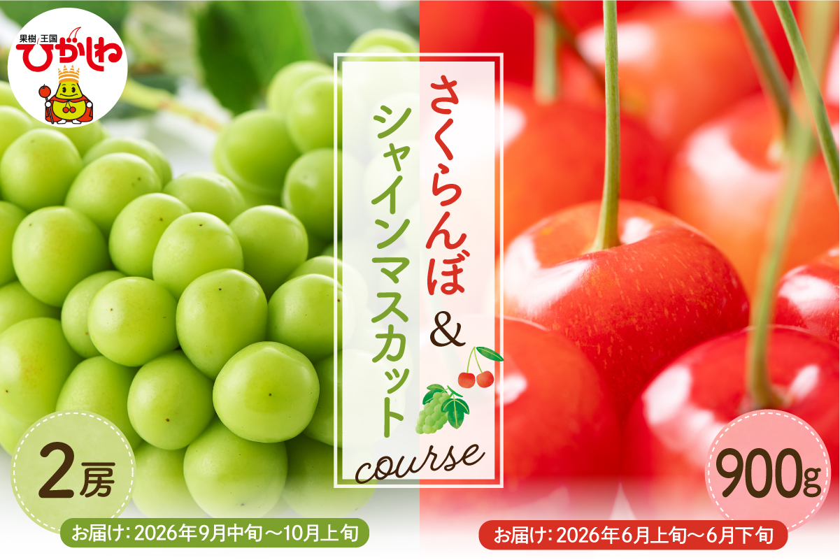 【2026年 2回 定期便】GI東根さくらんぼandシャインマスカットコース 山形県 東根市 hi999-047
