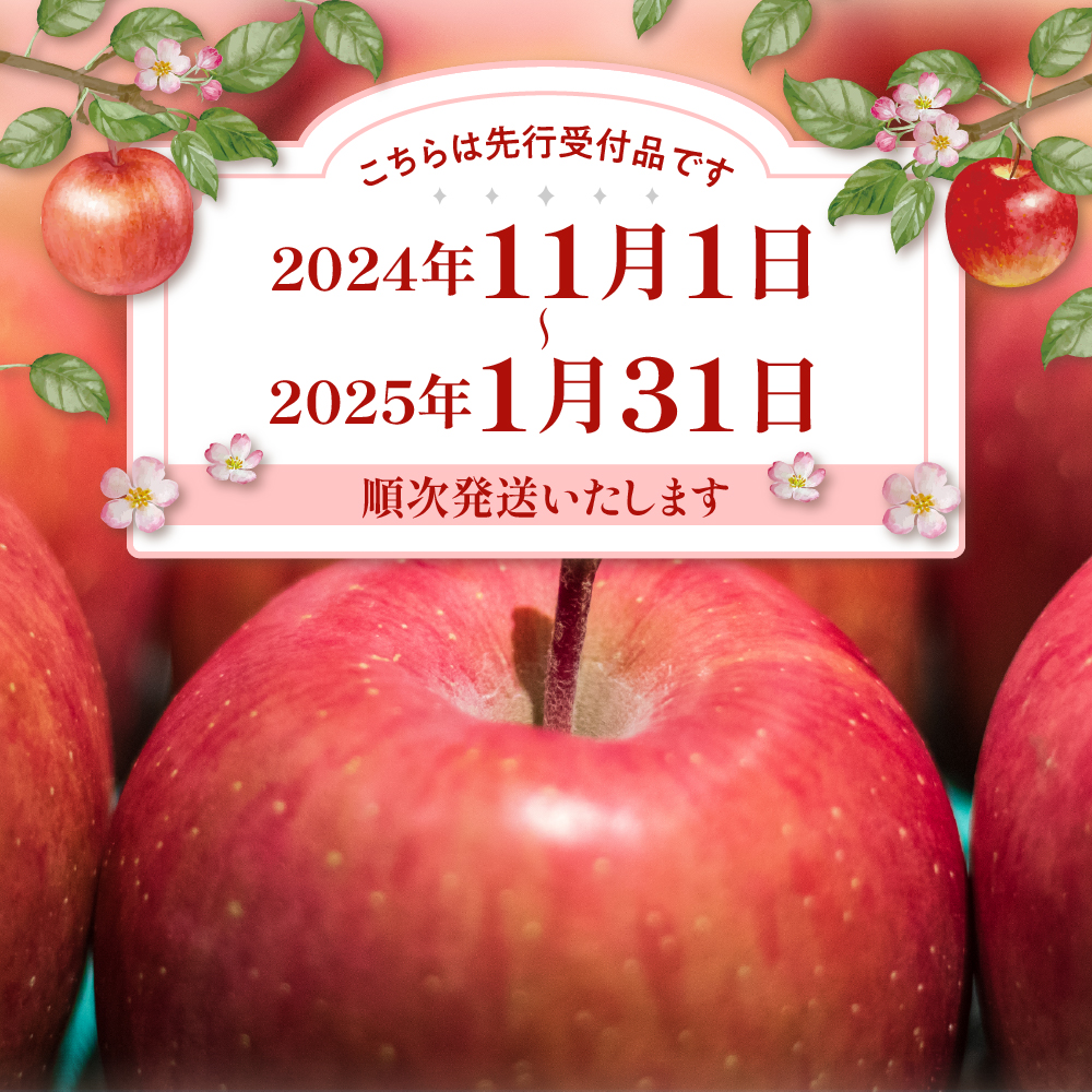 【令和6年産 先行予約】※訳あり※ サンふじ満杯詰(約9.5kg) 東根市 山形県 東根農産センター提供 hi027-131