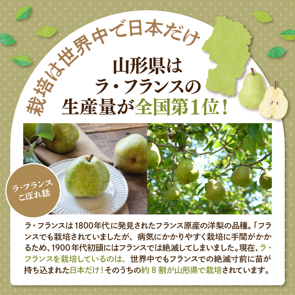 ã2026幎ç£ãæŽãªãããæšªç¶±ãã©ã»ãã©ã³ã¹ã 3kg ãã£ãŠãããã©æäŸ hi003-169