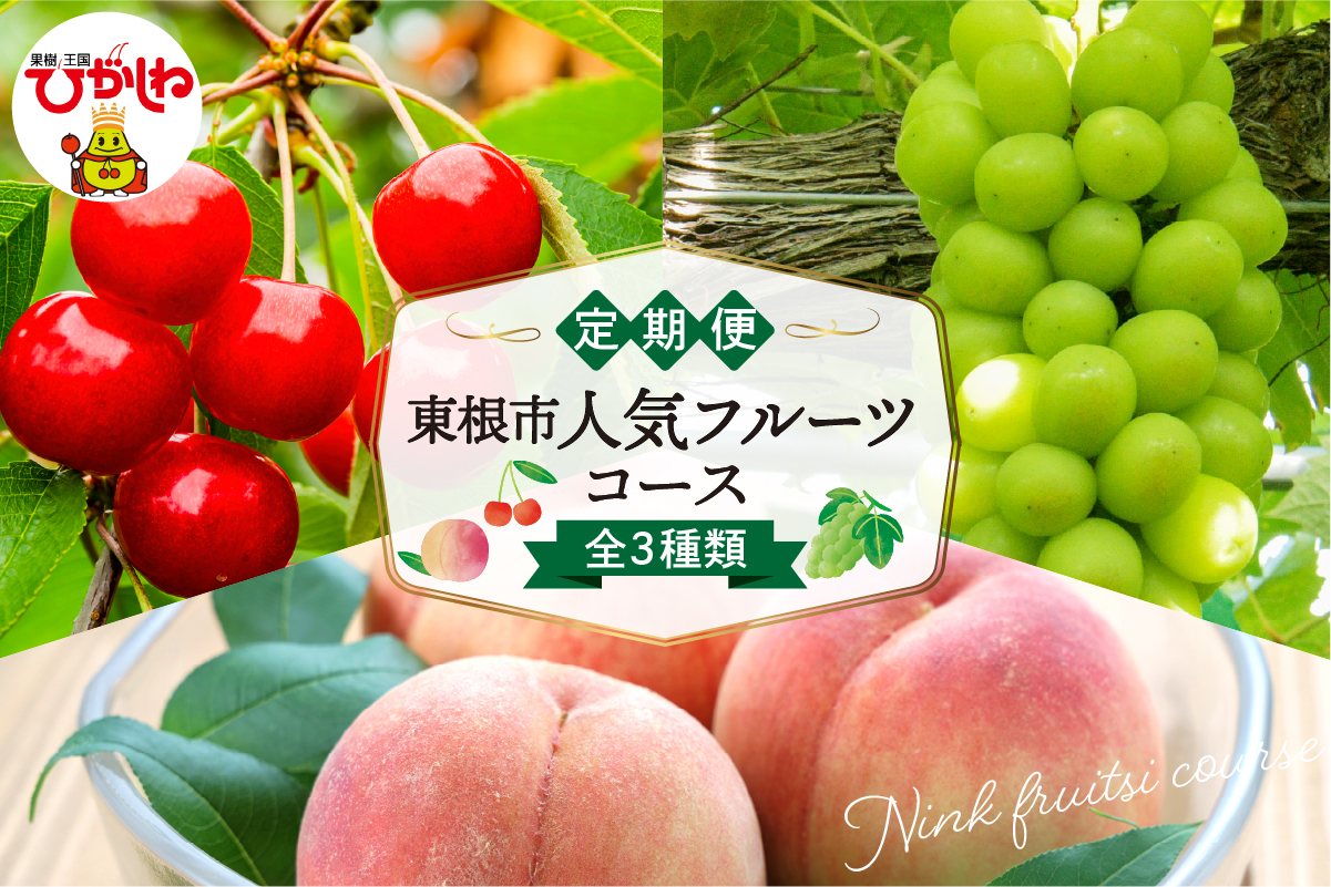 【2026年先行予約 3回 定期便】東根市人気フルーツコース さくらんぼ もも シャインマスカット 山形県 東根市 hi999-048