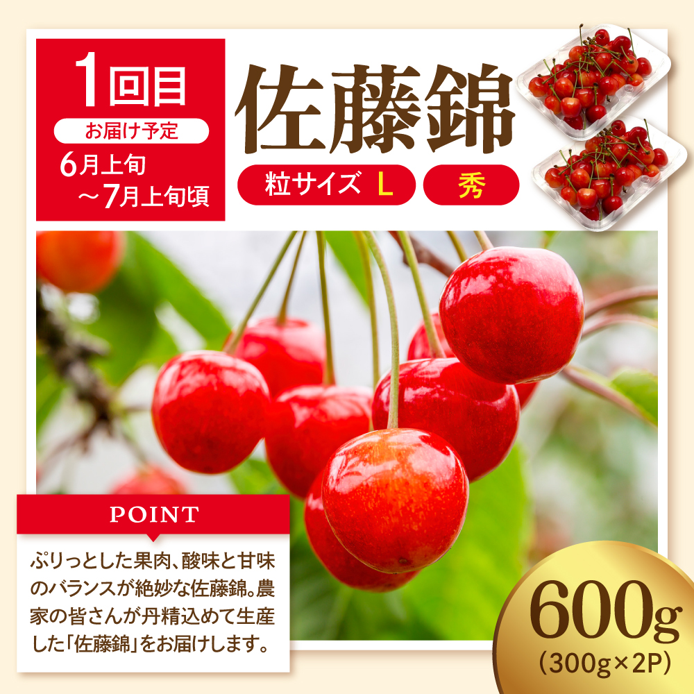 ã2026幎 å
è¡äºçŽ 4åå®æäŸ¿ã2026幎 ãã«ãŒãçåœ æºè
¹ã®æµã¿äŸ¿ åç¬è±å€¢æäŸ å±±åœ¢ç æ±æ ¹åž hi082-045