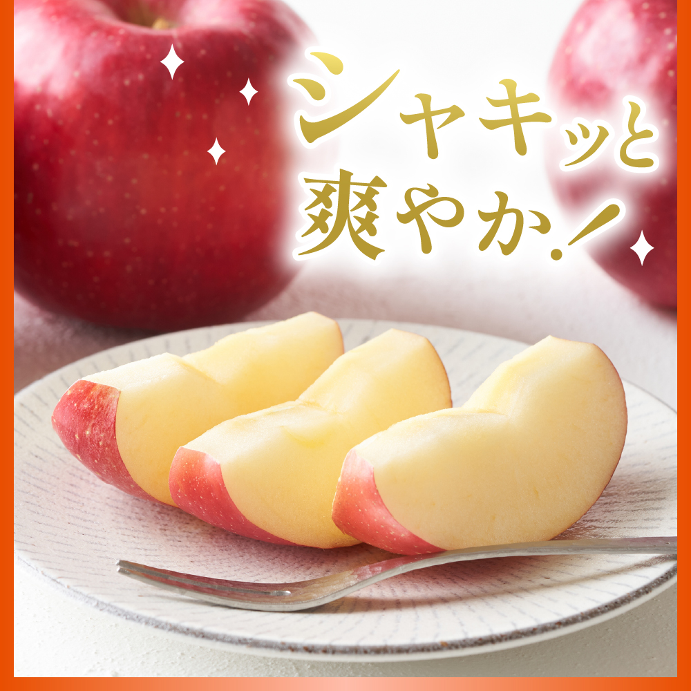 【2026年産】 りんご(品種おまかせ) 10kg よってけポポラ提供 hi003-165