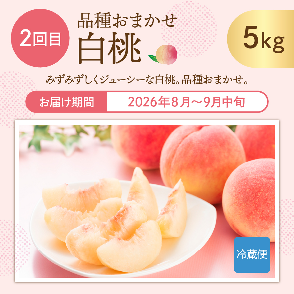 【2026年先行予約 6回 定期便】果樹王国を堪能コース 山形県 東根市 さくらんぼ もも プラム シャインマスカット ラ・フランス りんご hi999-045