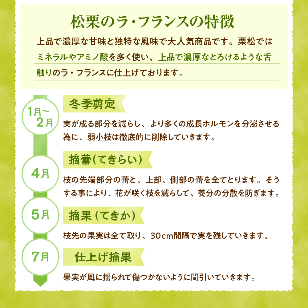 【2025年産 先行予約】真の果実 贈答用 ラフランス2kg 山形県 東根市 hi004-hi062-041-2