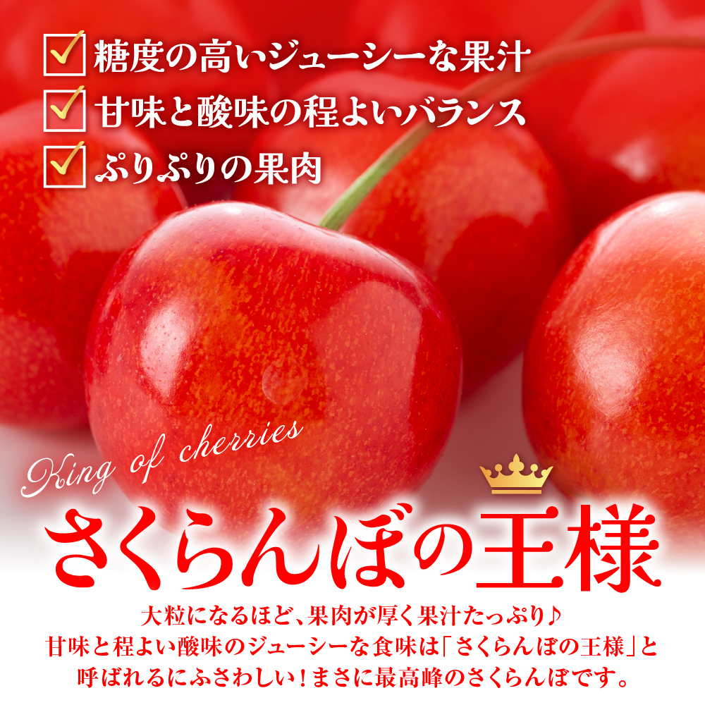 【2025年産　先行予約】真の桜桃 佐藤錦 超特秀 500g 山形県 東根市　hi004-hi062-033-1