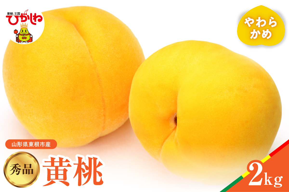【2024年産　先行予約】黄桃 品種おまかせ 秀品2kg(やわらかめ)　hi004-hi062-014