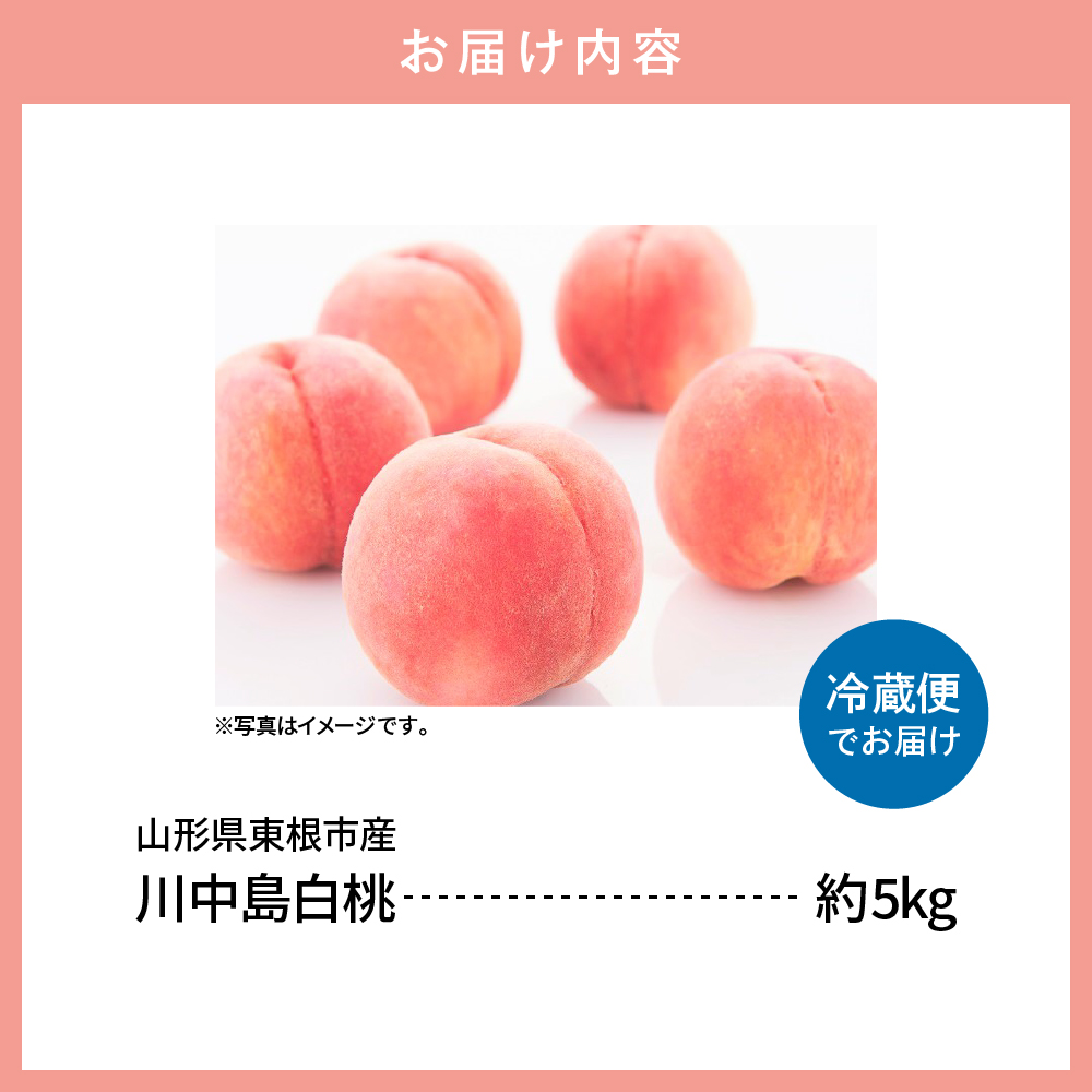【2026年産 先行予約】2026年もも「川中島白桃」5kg JA提供 hi003-154