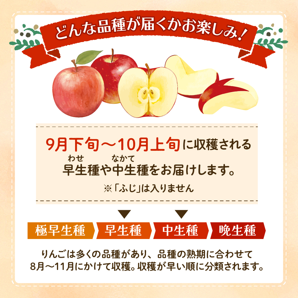 【2024年産 先行予約】 りんご(品種おまかせ)10kg JA提供　hi003-111