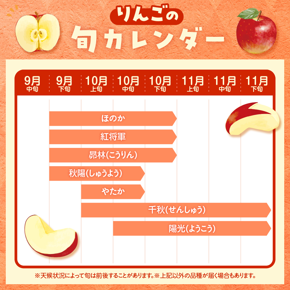 【2026年産】 りんご(品種おまかせ) 10kg よってけポポラ提供 hi003-165