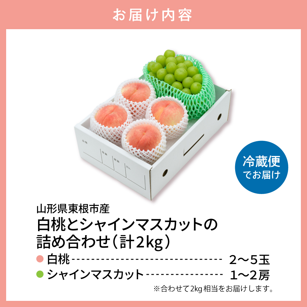 【2026年】東根市産 白桃（品種おまかせ）＆シャインマスカット 詰め合わせ 秀品 化粧箱入り 2kg 山形県 東根市 hi027-243