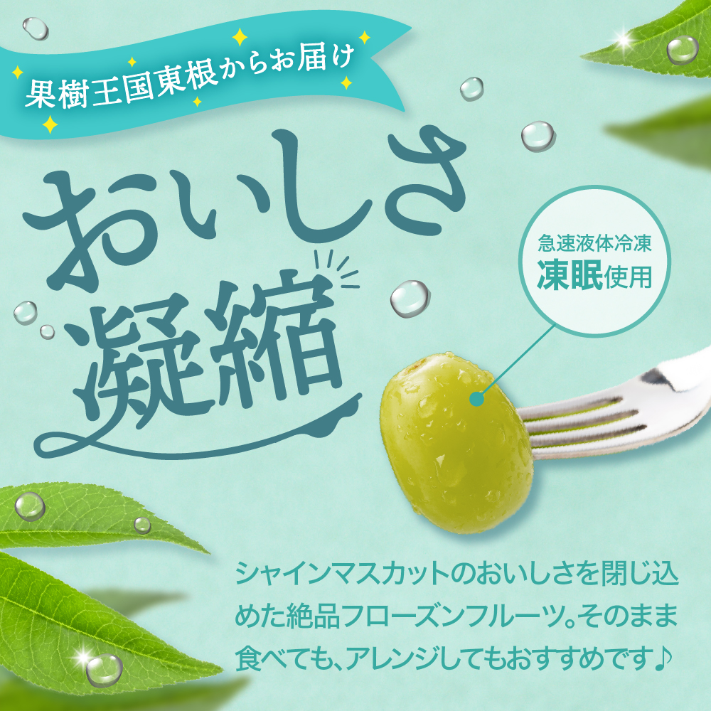 【急速冷凍】東根市産 シャインマスカット 100g×5袋 東根農産センター提供 hi027-245