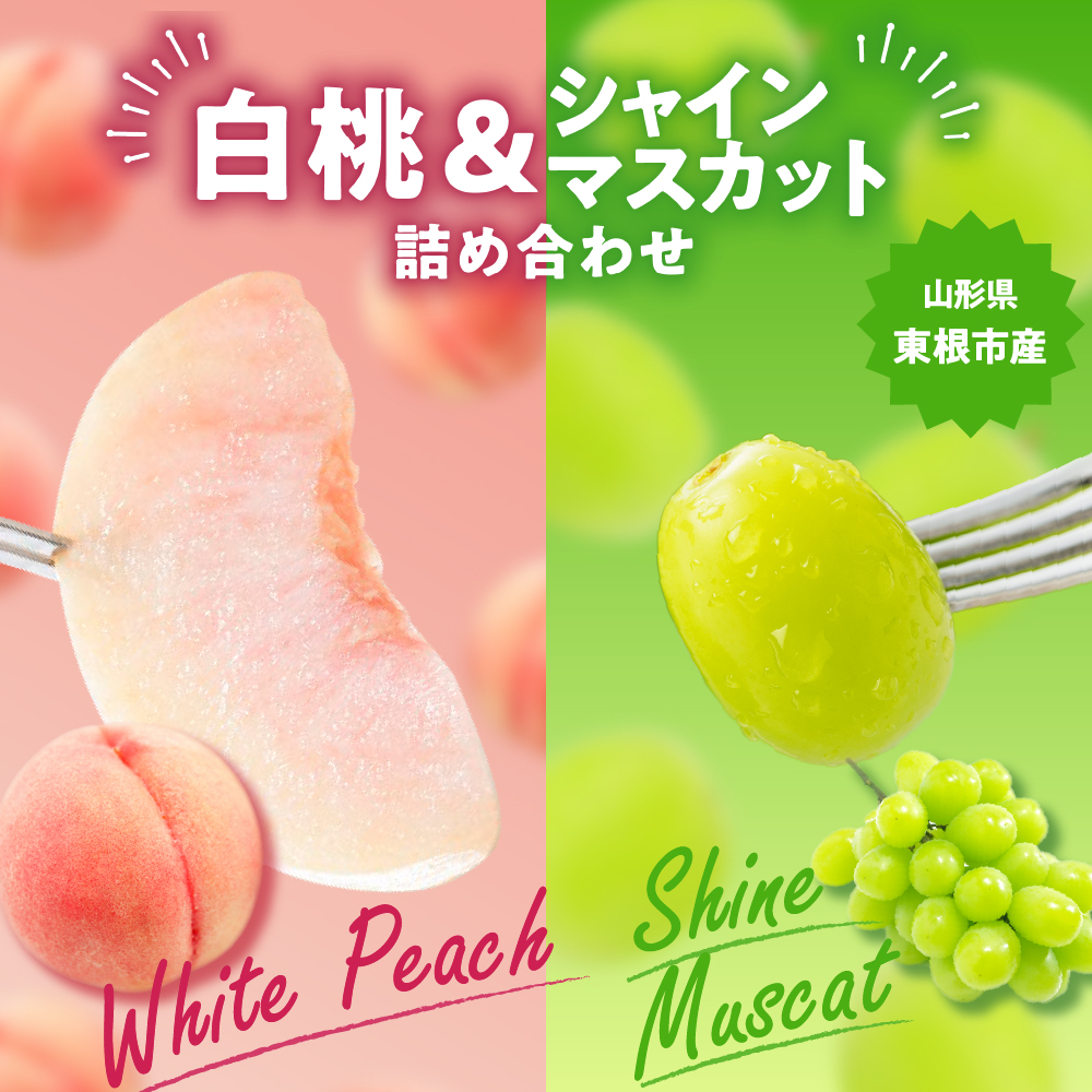 【2026年】東根市産 白桃（品種おまかせ）＆シャインマスカット 詰め合わせ 秀品 化粧箱入り 2kg 山形県 東根市 hi027-243