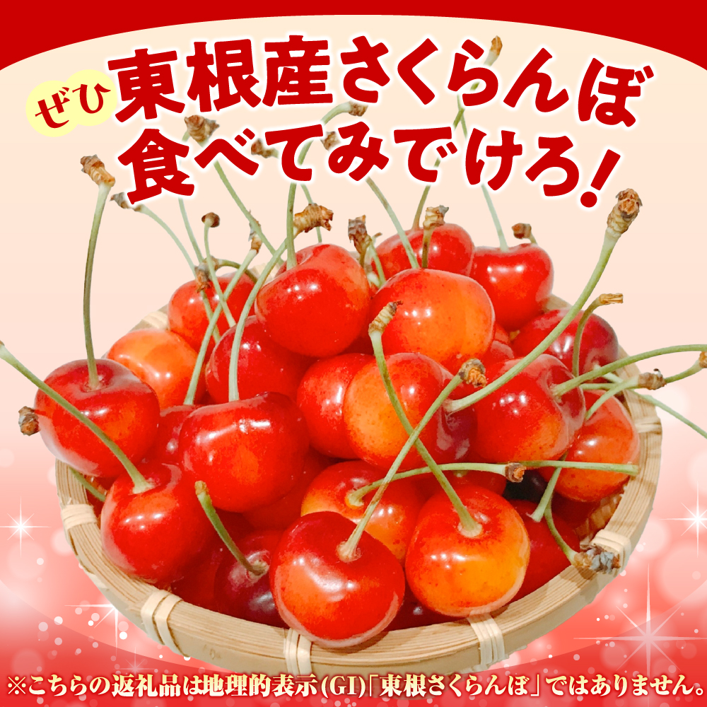 2025年 山形県東根市産さくらんぼ「佐藤錦」500gバラ詰め 東根農産センター提供 山形県 東根市 hi027-171-2