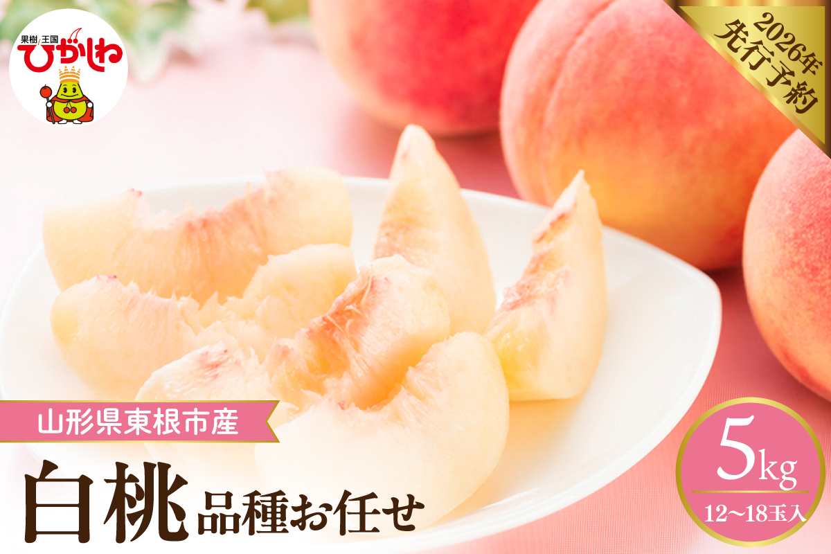 【2026年産】 採れたて白桃(品種お任せ) 約5kg (12～18玉) 山形県 東根市　hi026-056
