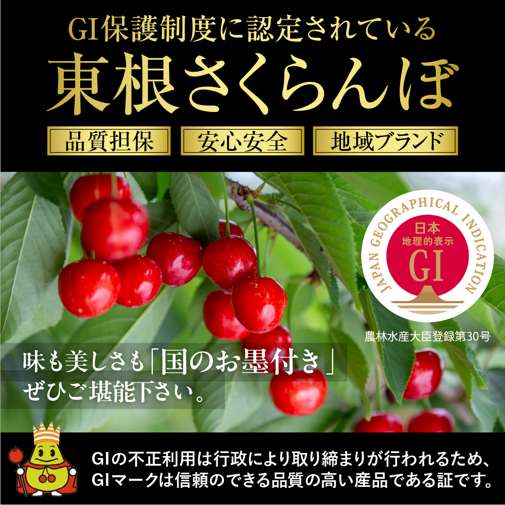 【2026年産 先行予約】GI東根さくらんぼ「佐藤錦」秀品 500gバラ詰め（500g×1パック） Lサイズ 山形県 東根市 hi088-010