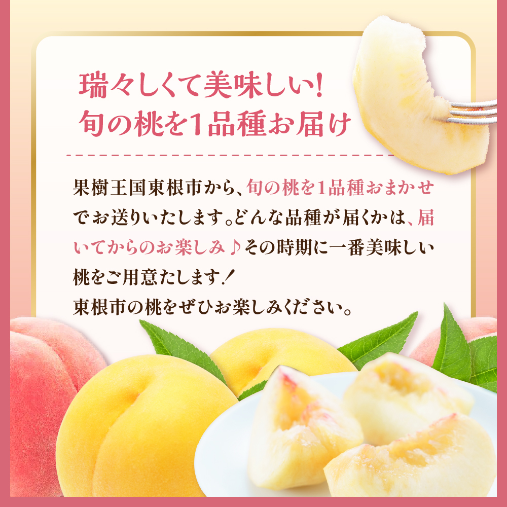 【2026年先行予約 2回 定期便】東根市 果物定期便 もも シャインマスカット 山形県 東根市 hi003-159