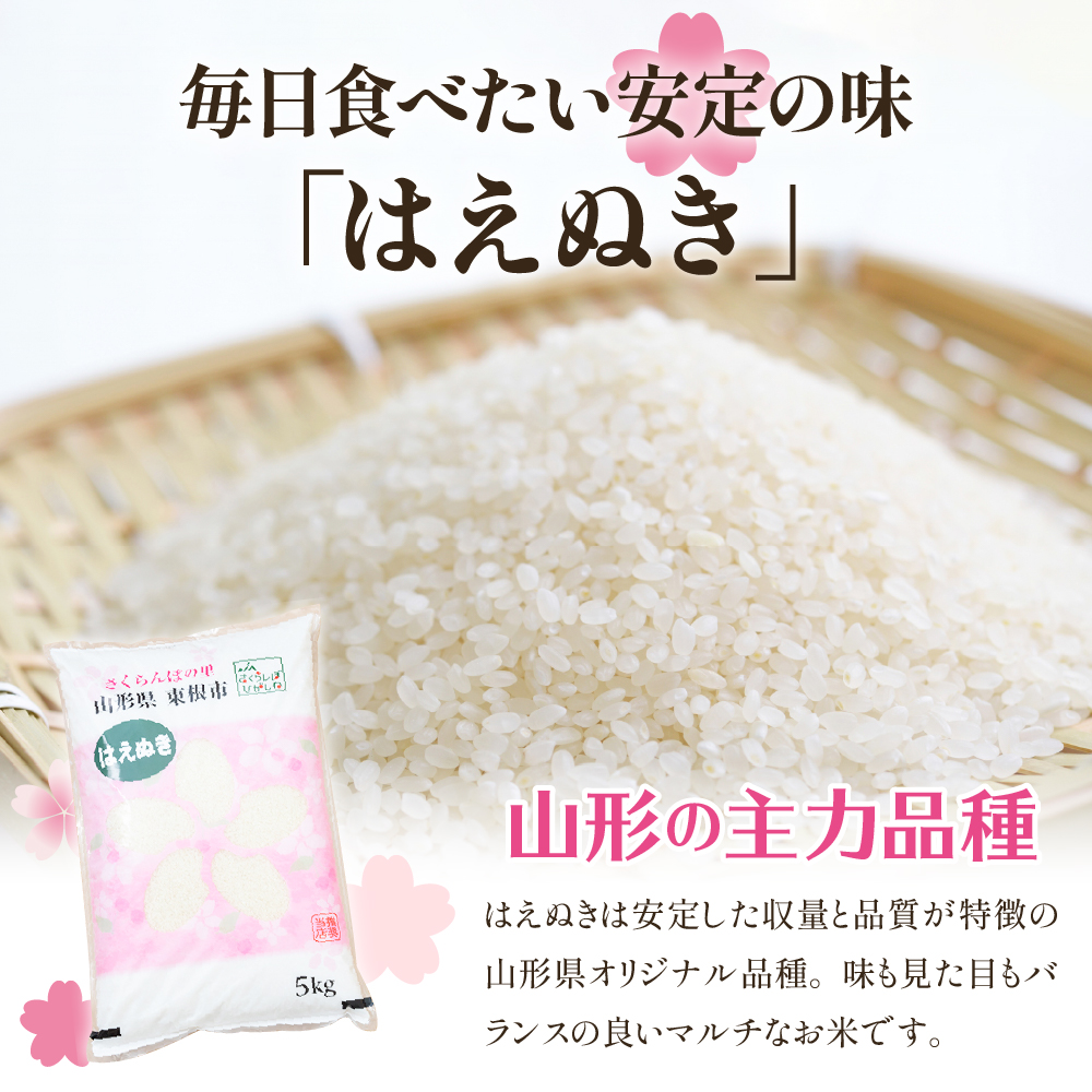 縲蝉サ、蜥7蟷エ逕」邀ウ縲鯛2026蟷エ4譛亥燕蜊顔匱騾≫縺ッ縺医〓縺 10kgシ5kgテ2陲具シ牙アア蠖「逵 譚ア譬ケ蟶ら肇縲hi002-032-041-2