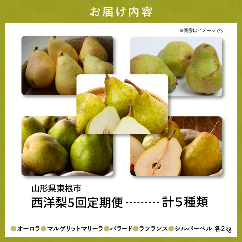 【2026年産 5回定期便】西洋梨食べ尽くし定期便 山形県 東根市 東根農産センター提供 hi027-201-r8