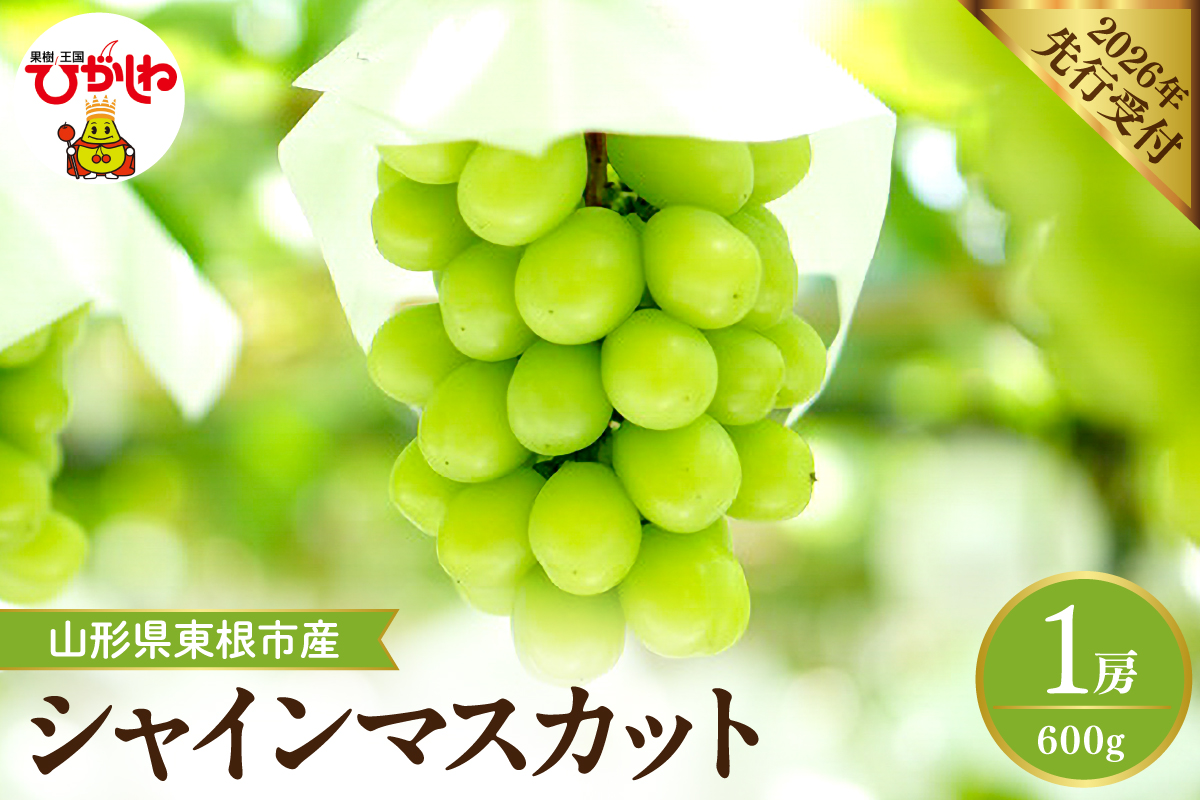 【2026年産】 シャインマスカット 約600g (1房入) 山形県 東根市 hi026-053