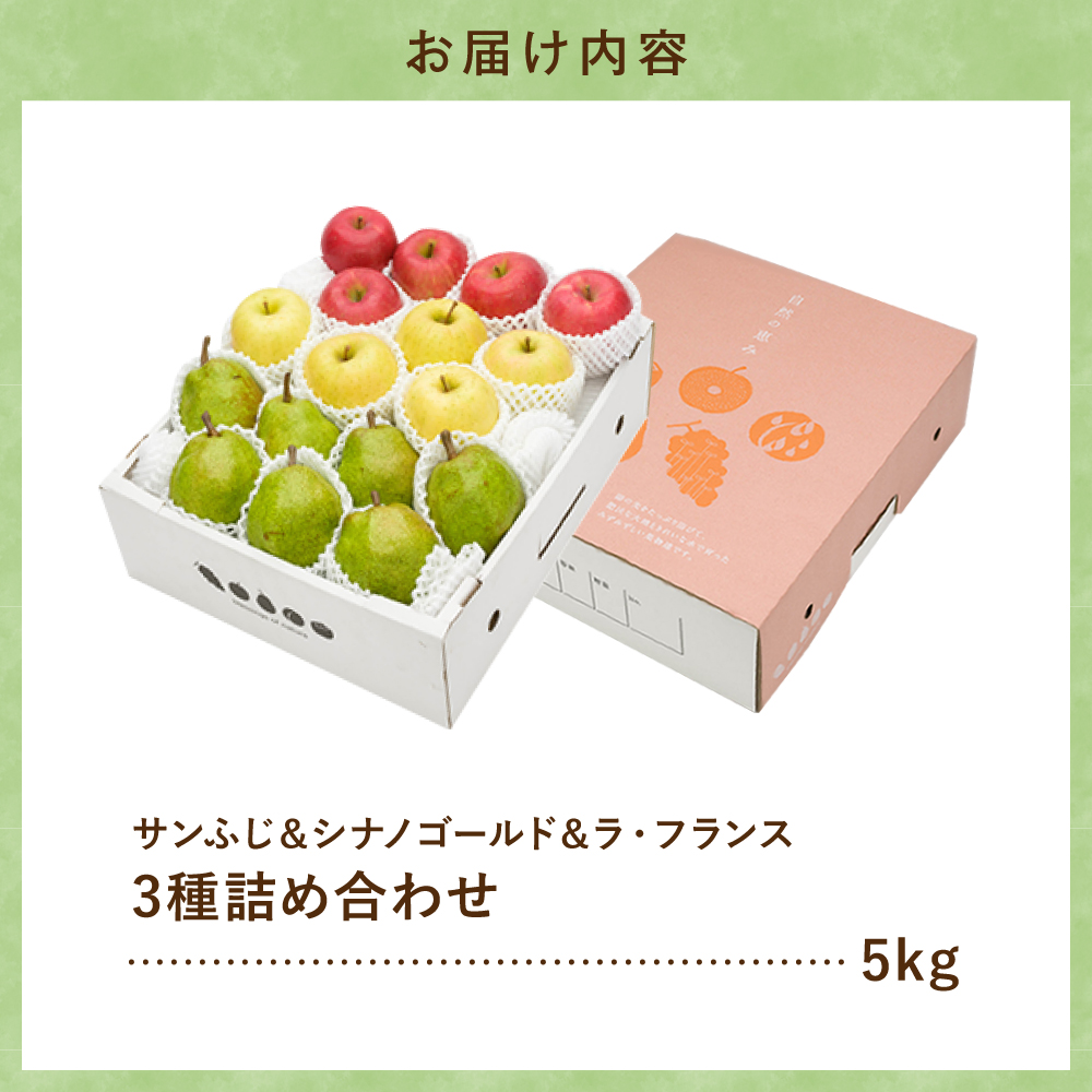 【2026年産】サンふじ&シナノゴールド＆ラフランス 詰め合わせ 5kg 秀品 化粧箱入り 山形県 東根市 東根農産センター提供 hi027-213-r8