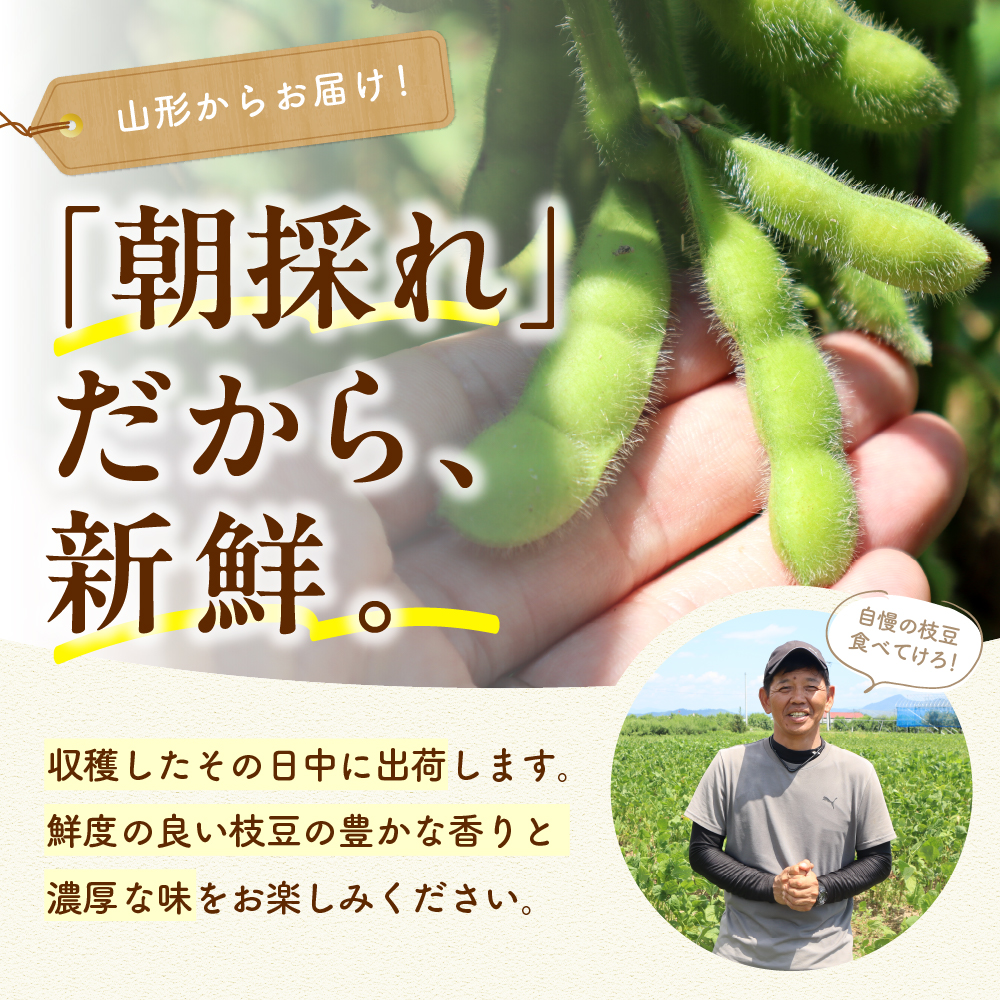 2024年産 枝豆「湯あがり娘」1.5kg & 「秘伝豆」1.5kg　JA提供　hi003-105