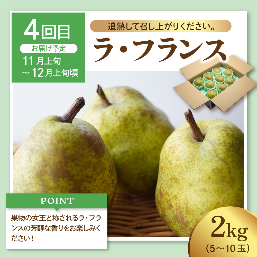 【2026年 先行予約 5回定期便】2026年 フルーツ王国 季節の主役便 千笑花夢提供 山形県 東根市 hi082-046