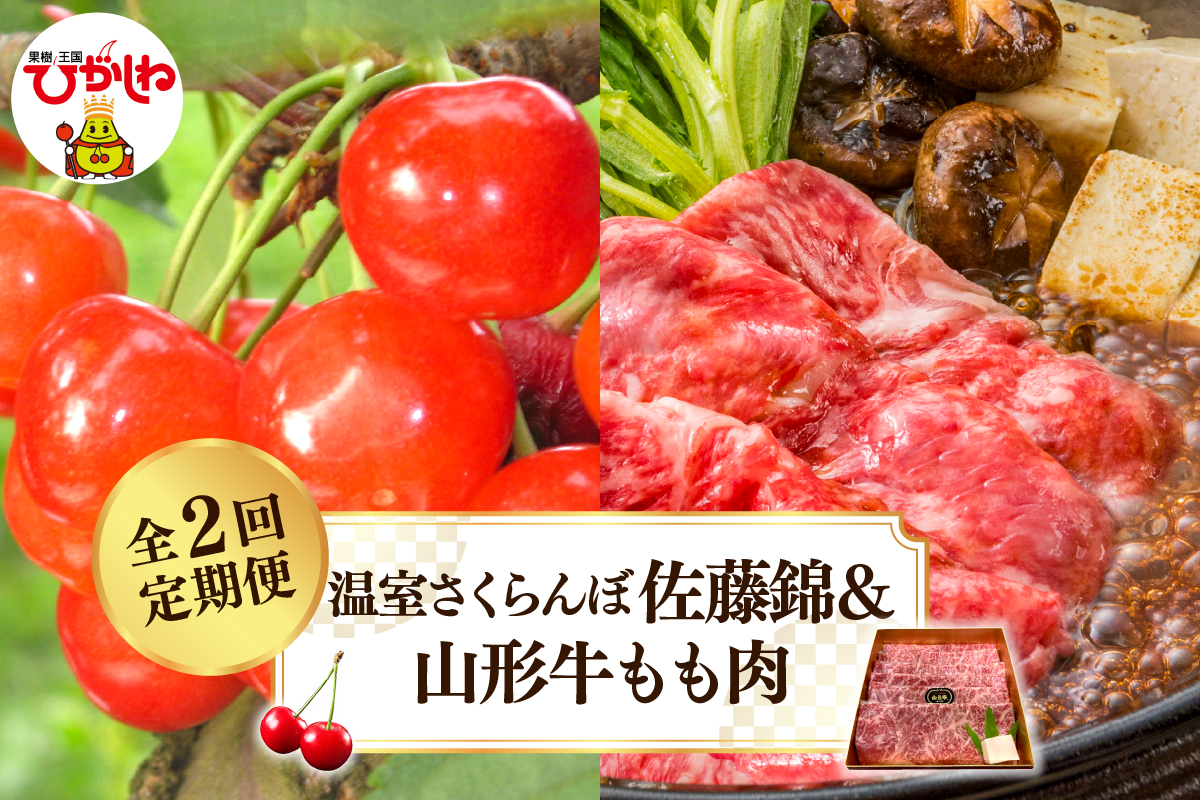 【2025年 先行予約】温室さくらんぼ佐藤錦＆山形牛もも肉 全２回定期便 (2025年4月からスタート) 山形県 東根市 hi026-017-2