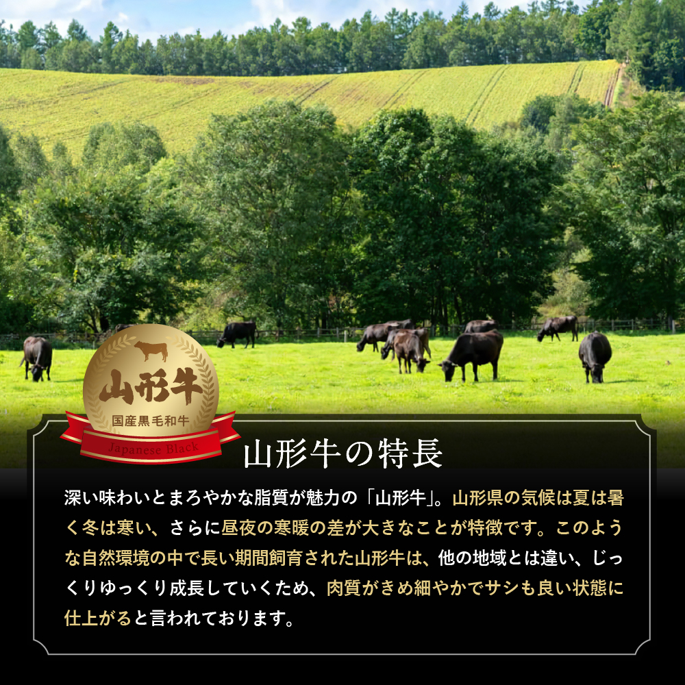 【2回定期便】山形牛＆りんご コース（2026年10月以降お届け） 山形県 東根市 　hi999-043