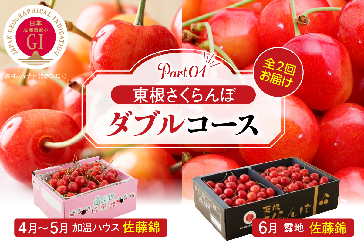 【2025年産 先行予約】東根さくらんぼ ダブルコース （佐藤錦加温500g、佐藤錦露地900g） 山形県 東根市 hi001-035-2