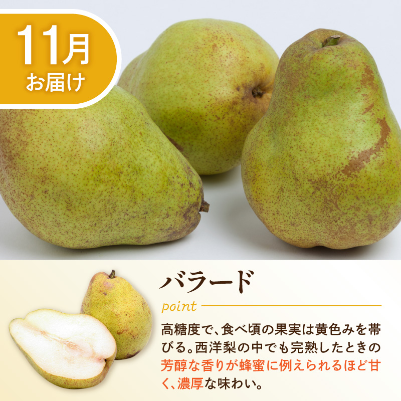 【2026年産 5回定期便】西洋梨食べ尽くし定期便 山形県 東根市 東根農産センター提供 hi027-201-r8