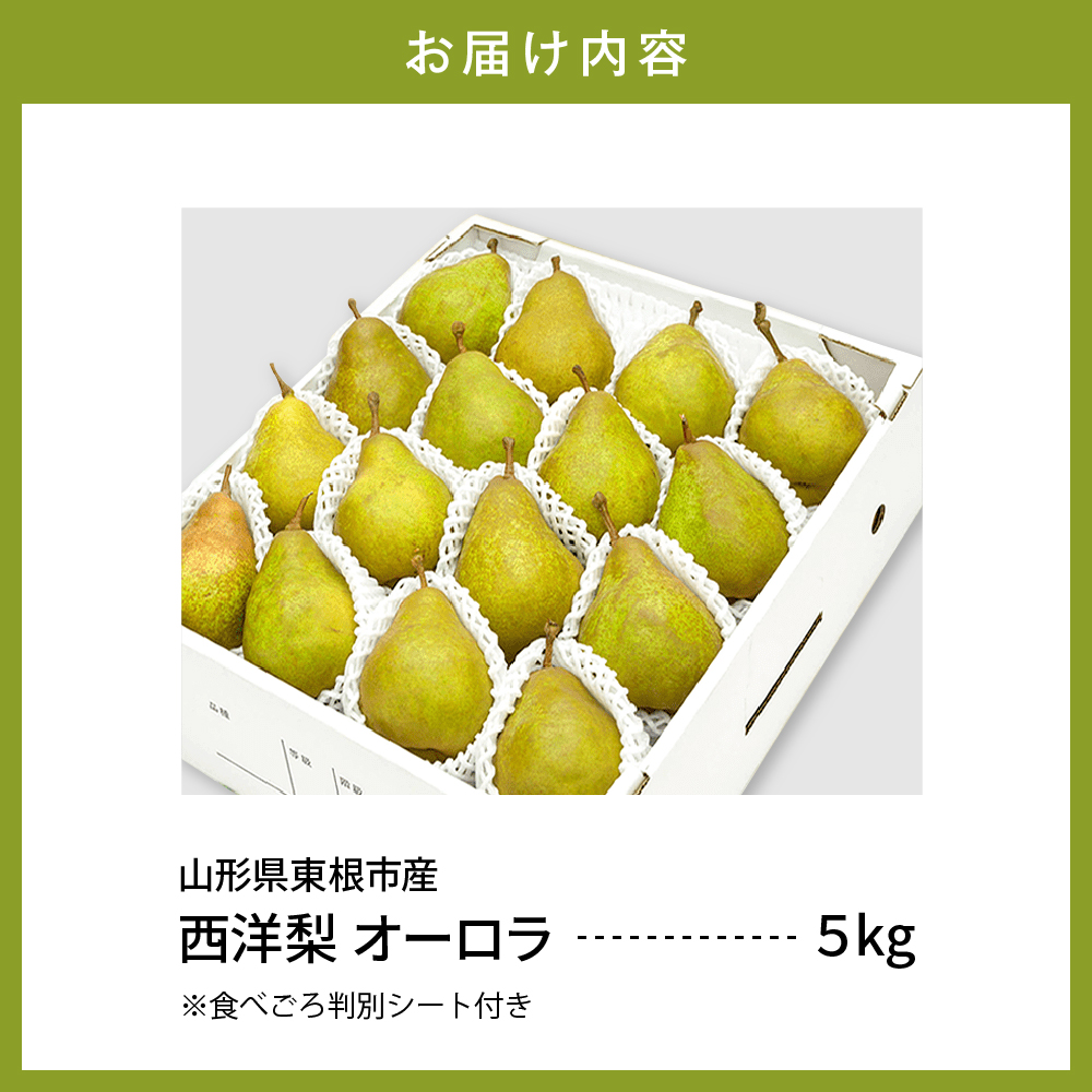 【令和6年産 先行予約】西洋梨オーロラ５ｋｇ 秀品　化粧箱入り　山形県 東根市 東根農産センター提供 hi027-133