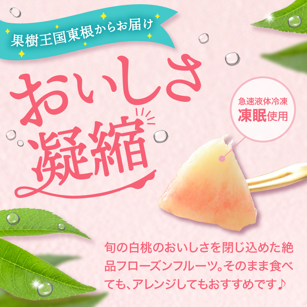 【8月以降発送】【瞬間冷凍】東根市産 カット済み白桃 100g×9袋入り 化粧箱 【東根農産センター】　hi004-hi027-056r