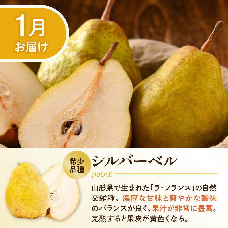 【2026年産 5回定期便】西洋梨食べ尽くし定期便 山形県 東根市 東根農産センター提供 hi027-201-r8